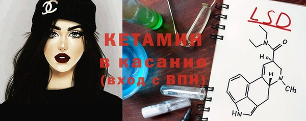 PSILOCYBIN Бородино