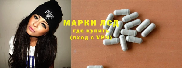 PSILOCYBIN Бородино