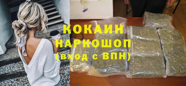 PSILOCYBIN Бородино