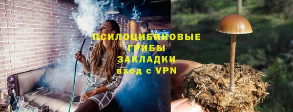 PSILOCYBIN Бородино