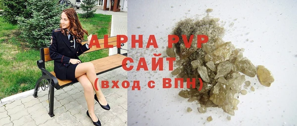 PSILOCYBIN Бородино