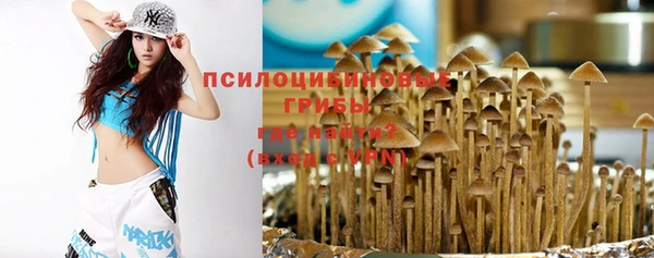 МДПВ Бронницы