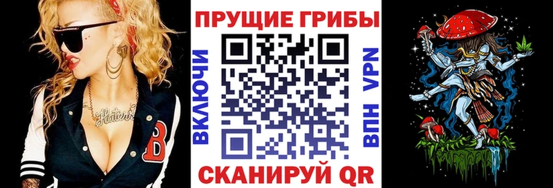 Галлюциногенные грибы GOLDEN TEACHER  Купить закладки  Биробиджан 